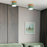 Variant image for Plafondlamp Zwart met Speels Ontwerp in Geel en Blauw - Compacte Plafonniere voor Keuken en Bar-5